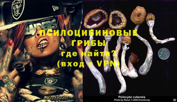 амф Нефтекумск
